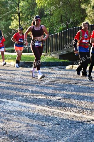 Foto de la CARRERA BIMBO GLOBAL RACE GUADALAJARA a las 07:26