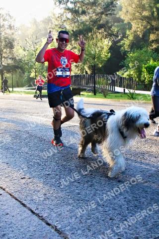 Foto de la CARRERA BIMBO GLOBAL RACE GUADALAJARA a las 07:29