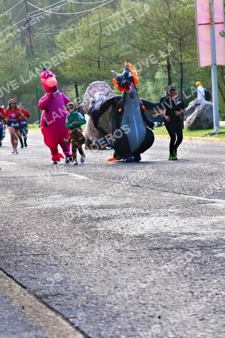 Foto de la CARRERA BIMBO GLOBAL RACE GUADALAJARA a las 07:43