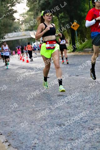 Foto de la CARRERA BIMBO GLOBAL RACE GUADALAJARA a las 04:56