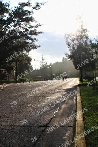 Foto de la CARRERA BIMBO GLOBAL RACE GUADALAJARA a las 07:52