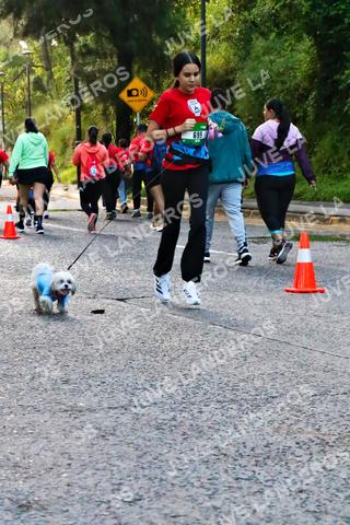 Foto de la CARRERA BIMBO GLOBAL RACE GUADALAJARA a las 07:11