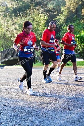 Foto de la CARRERA BIMBO GLOBAL RACE GUADALAJARA a las 07:31