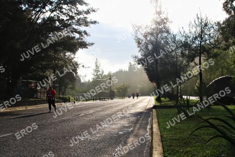 Foto de la CARRERA BIMBO GLOBAL RACE GUADALAJARA a las 07:52