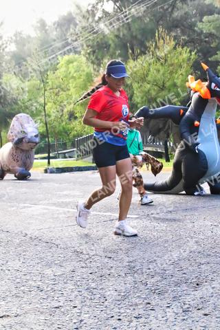 Foto de la CARRERA BIMBO GLOBAL RACE GUADALAJARA a las 07:44