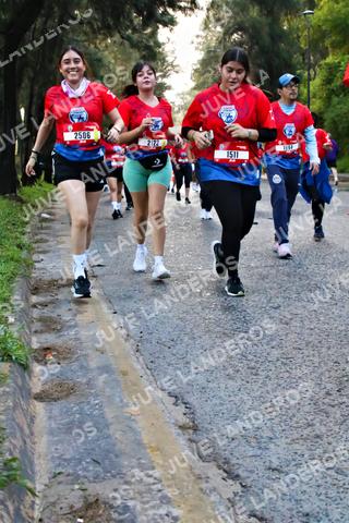 Foto de la CARRERA BIMBO GLOBAL RACE GUADALAJARA a las 07:04