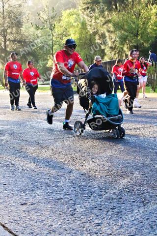 Foto de la CARRERA BIMBO GLOBAL RACE GUADALAJARA a las 07:23