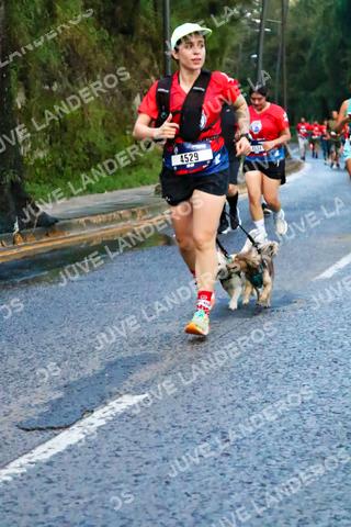 Foto de la CARRERA BIMBO GLOBAL RACE GUADALAJARA a las 04:53