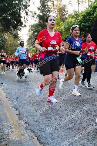 Foto de la CARRERA BIMBO GLOBAL RACE GUADALAJARA a las 06:58