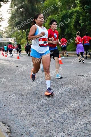 Foto de la CARRERA BIMBO GLOBAL RACE GUADALAJARA a las 04:58