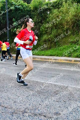 Foto de la CARRERA BIMBO GLOBAL RACE GUADALAJARA a las 04:59