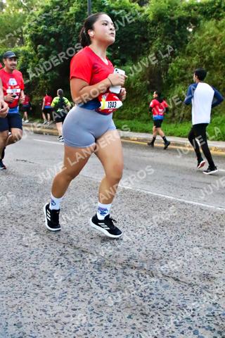 Foto de la CARRERA BIMBO GLOBAL RACE GUADALAJARA a las 05:00
