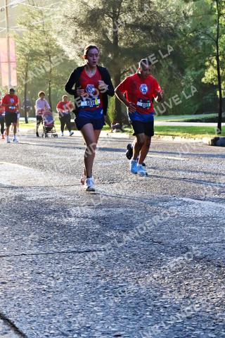 Foto de la CARRERA BIMBO GLOBAL RACE GUADALAJARA a las 07:23