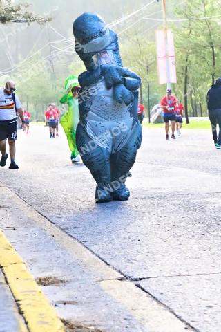 Foto de la CARRERA BIMBO GLOBAL RACE GUADALAJARA a las 07:43