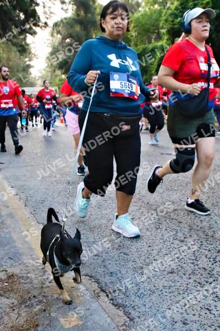 Foto de la CARRERA BIMBO GLOBAL RACE GUADALAJARA a las 07:01