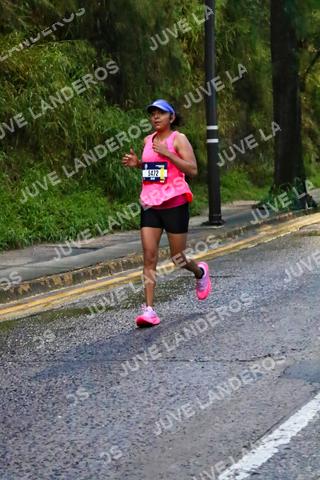 Foto de la CARRERA BIMBO GLOBAL RACE GUADALAJARA a las 06:37