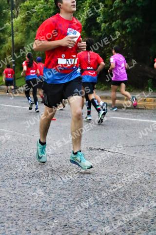 Foto de la CARRERA BIMBO GLOBAL RACE GUADALAJARA a las 04:57