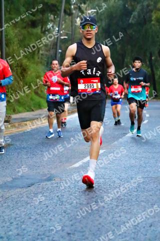 Foto de la CARRERA BIMBO GLOBAL RACE GUADALAJARA a las 04:53