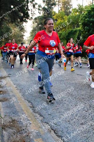 Foto de la CARRERA BIMBO GLOBAL RACE GUADALAJARA a las 06:59