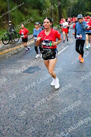 Foto de la CARRERA BIMBO GLOBAL RACE GUADALAJARA a las 04:49