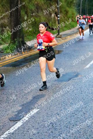 Foto de la CARRERA BIMBO GLOBAL RACE GUADALAJARA a las 04:52