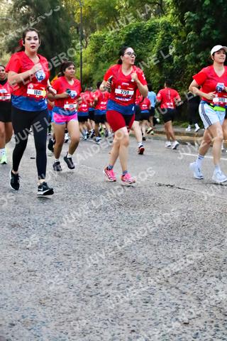Foto de la CARRERA BIMBO GLOBAL RACE GUADALAJARA a las 06:56