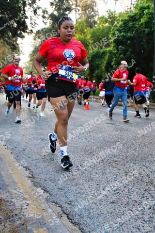 Foto de la CARRERA BIMBO GLOBAL RACE GUADALAJARA a las 06:59