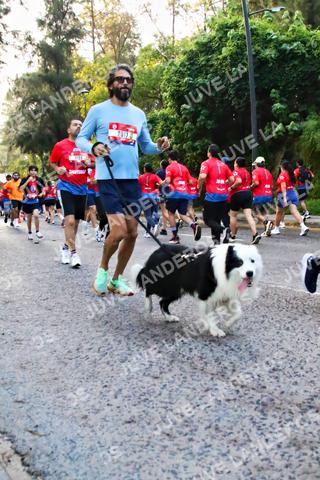 Foto de la CARRERA BIMBO GLOBAL RACE GUADALAJARA a las 06:58