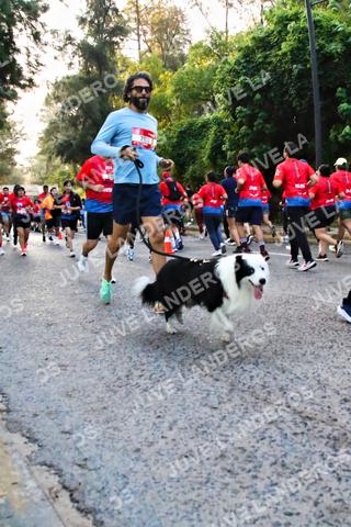 Foto de la CARRERA BIMBO GLOBAL RACE GUADALAJARA a las 06:58