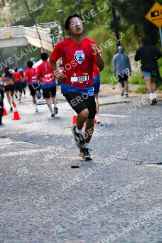 Foto de la CARRERA BIMBO GLOBAL RACE GUADALAJARA a las 04:55