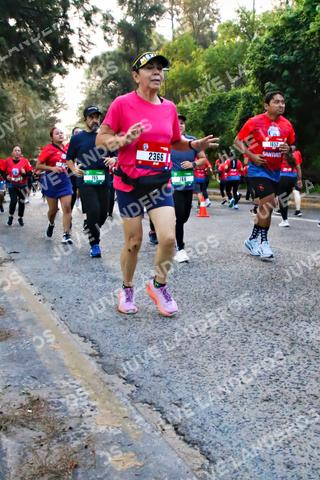 Foto de la CARRERA BIMBO GLOBAL RACE GUADALAJARA a las 06:59