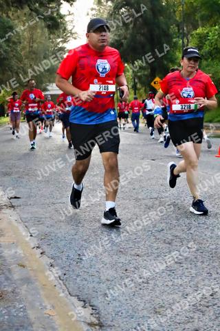 Foto de la CARRERA BIMBO GLOBAL RACE GUADALAJARA a las 05:00