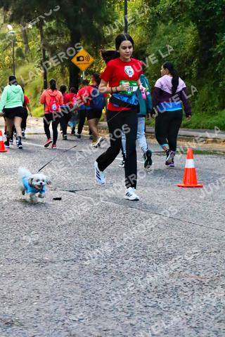 Foto de la CARRERA BIMBO GLOBAL RACE GUADALAJARA a las 07:11