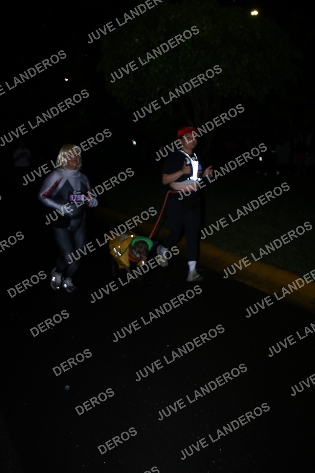 Foto de la Carrera Gamer Zapopan 2026 en Por definir, Zapopan a las 20:22 · Recorrido · dorsal 1750