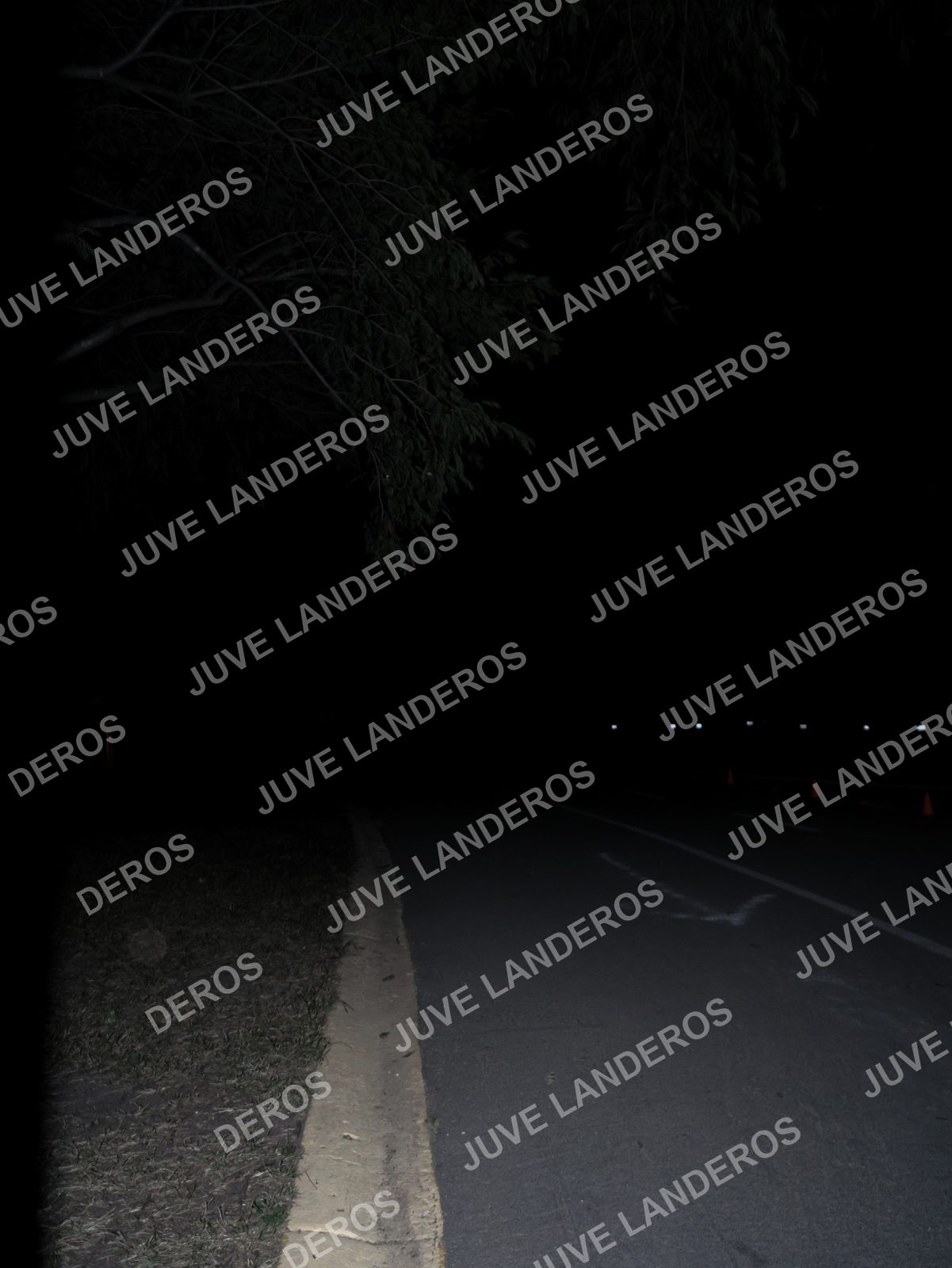 Foto de la Carrera Nocturna de Zombies Parque Metropolitano 2026 en Parque Metropolitano de Guadalajara, Zapopan, Jalisco a las 20:20