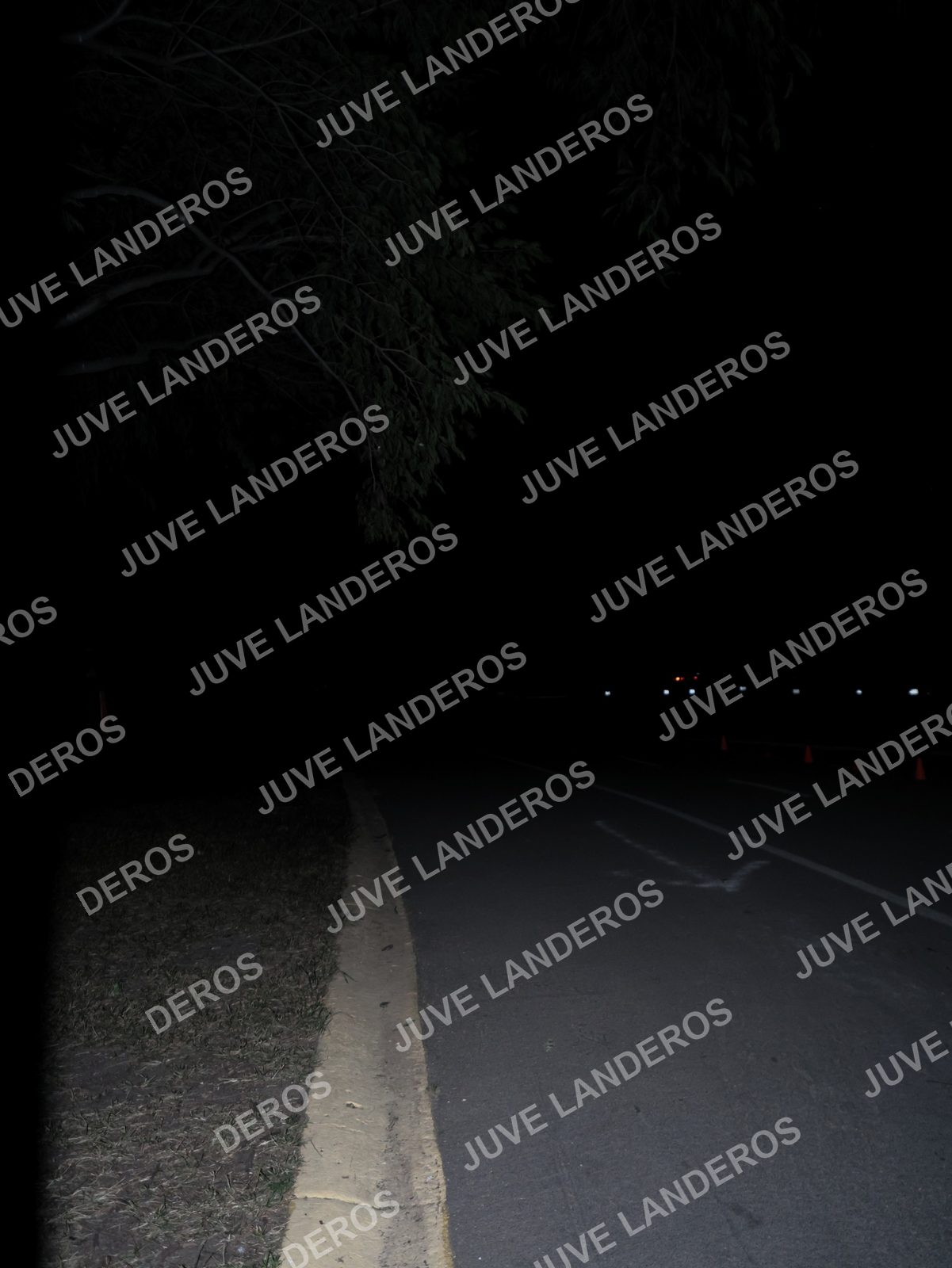 Foto de la Carrera Nocturna de Zombies Parque Metropolitano 2026 en Parque Metropolitano de Guadalajara, Zapopan, Jalisco a las 20:20