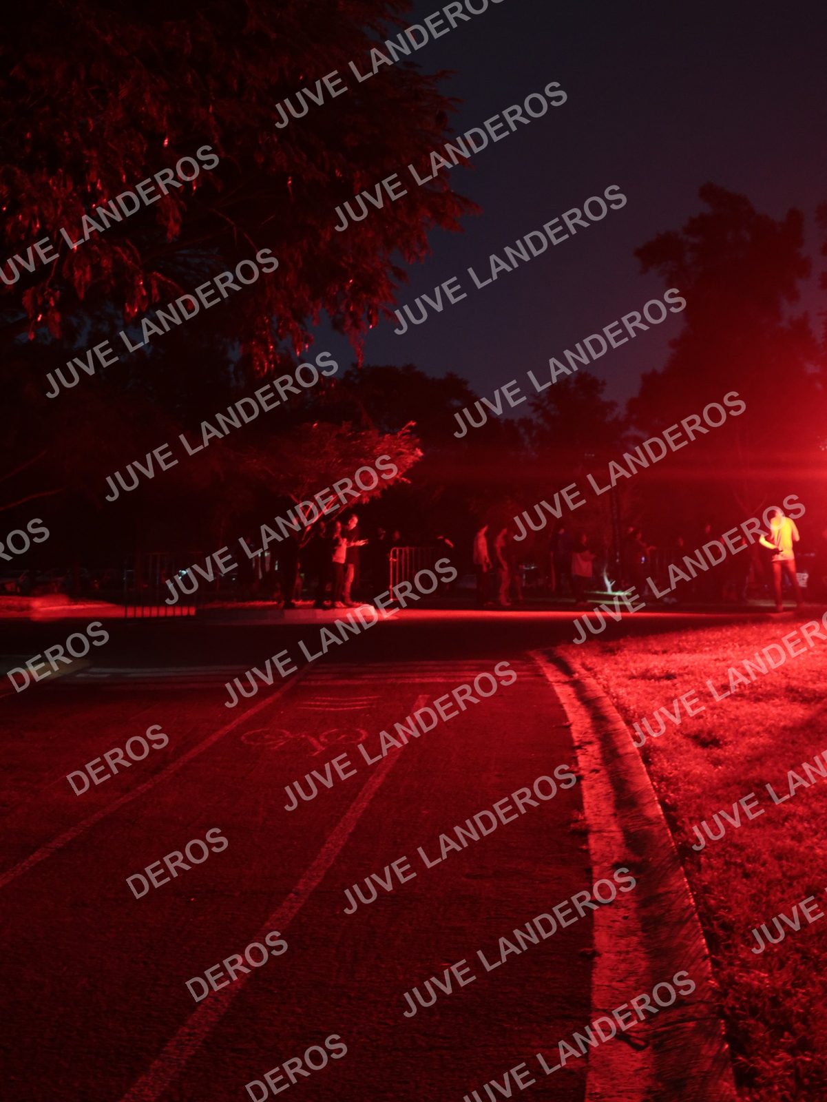 Foto de la Carrera Nocturna de Zombies Parque Metropolitano 2026 en Parque Metropolitano de Guadalajara, Zapopan, Jalisco a las 20:05