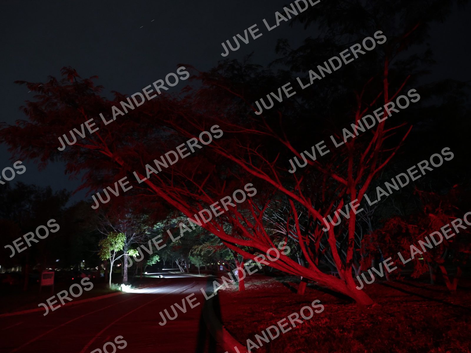 Foto de la Carrera Nocturna de Zombies Parque Metropolitano 2026 en Parque Metropolitano de Guadalajara, Zapopan, Jalisco a las 20:02