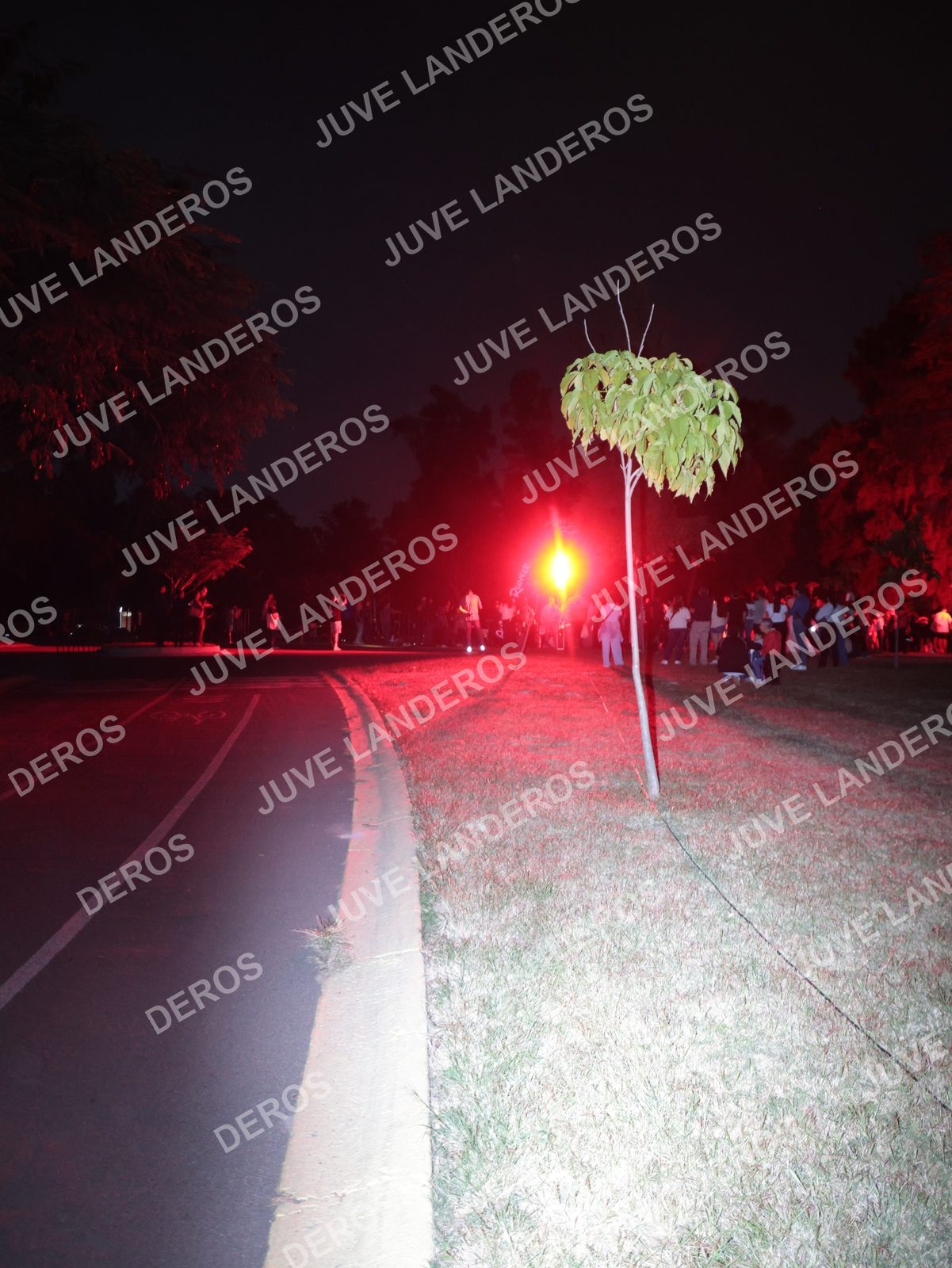Foto de la Carrera Nocturna de Zombies Parque Metropolitano 2026 en Parque Metropolitano de Guadalajara, Zapopan, Jalisco a las 20:06