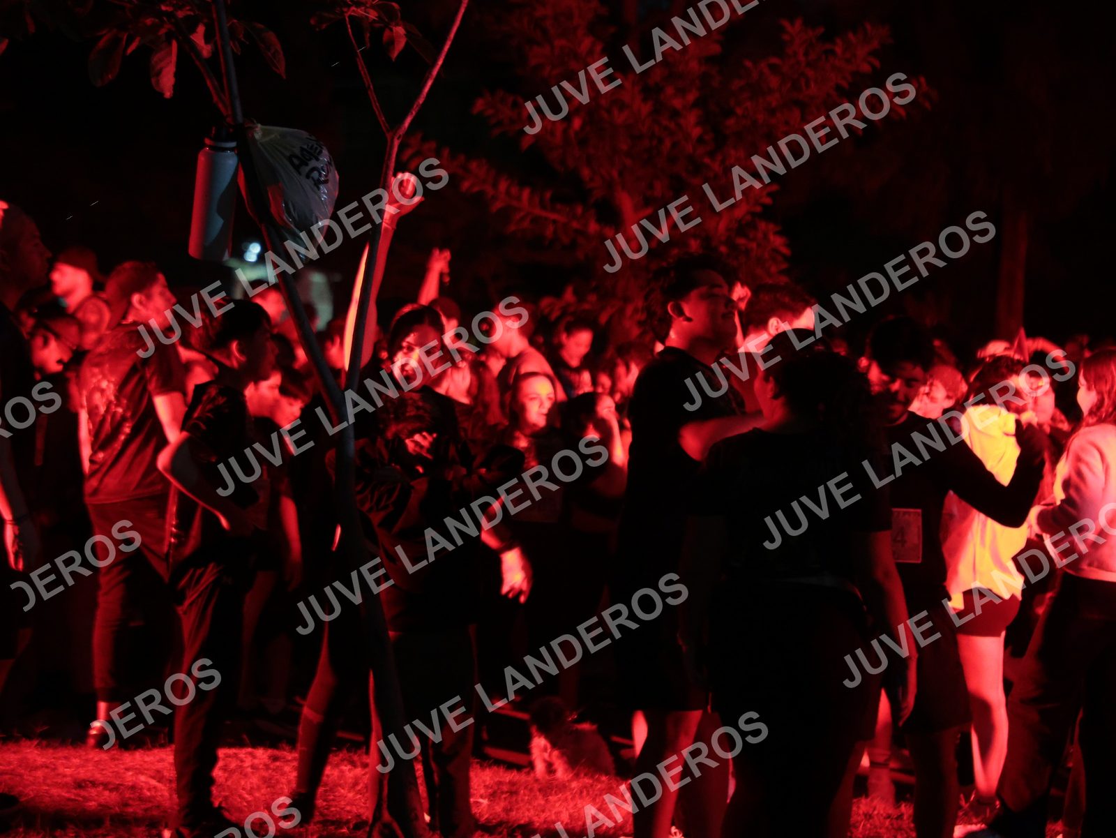 Foto de la Carrera Nocturna de Zombies Parque Metropolitano 2026 en Parque Metropolitano de Guadalajara, Zapopan, Jalisco a las 19:55