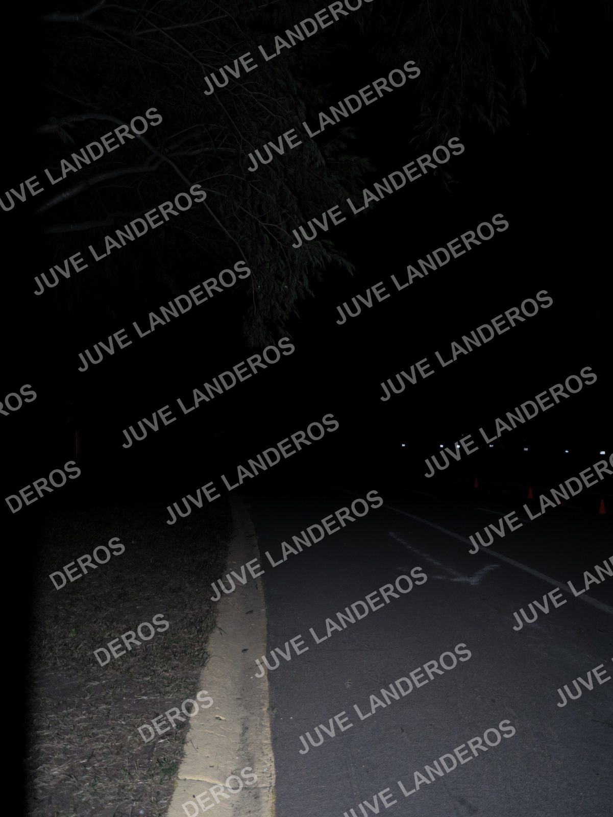 Foto de la Carrera Nocturna de Zombies Parque Metropolitano 2026 en Parque Metropolitano de Guadalajara, Zapopan, Jalisco a las 20:20
