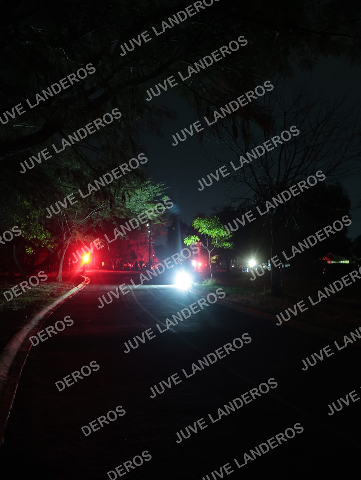 Foto de la Carrera Nocturna de Zombies Parque Metropolitano 2026 en Parque Metropolitano de Guadalajara, Zapopan, Jalisco a las 20:03