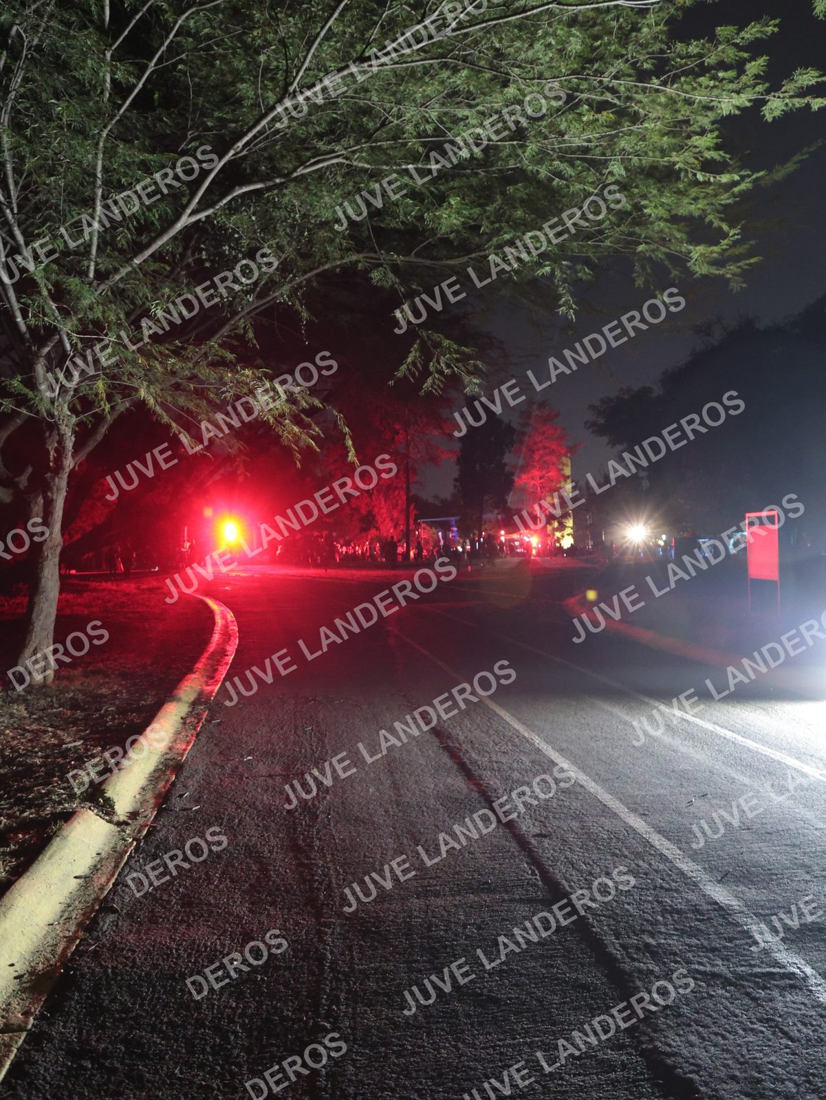 Foto de la Carrera Nocturna de Zombies Parque Metropolitano 2026 en Parque Metropolitano de Guadalajara, Zapopan, Jalisco a las 20:03
