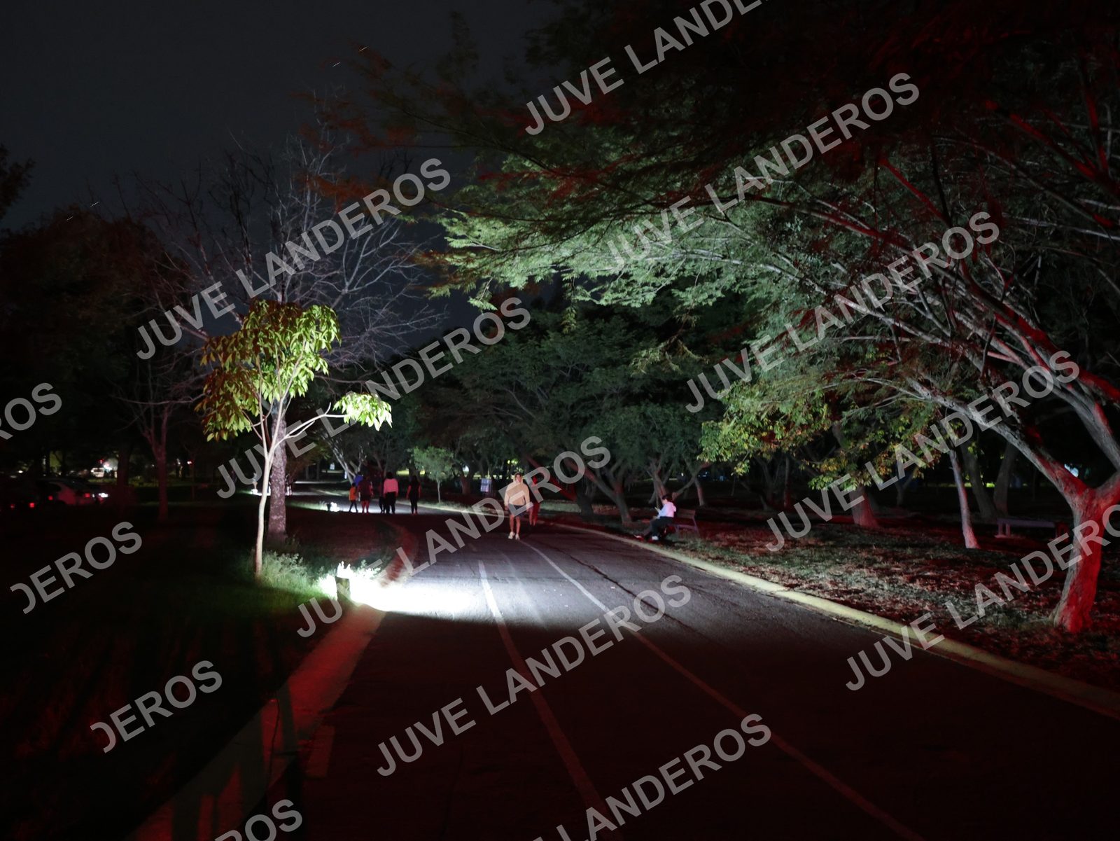 Foto de la Carrera Nocturna de Zombies Parque Metropolitano 2026 en Parque Metropolitano de Guadalajara, Zapopan, Jalisco a las 19:44