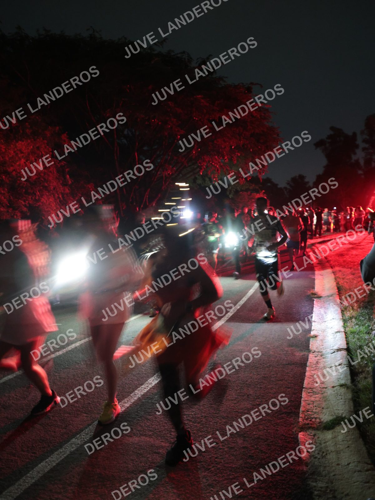 Foto de la Carrera Nocturna de Zombies Parque Metropolitano 2026 en Parque Metropolitano de Guadalajara, Zapopan, Jalisco a las 20:14