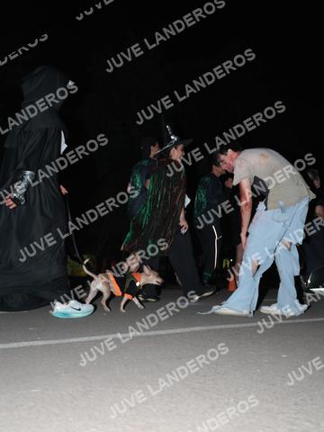 Foto de la Carrera Nocturna de Zombies Parque Metropolitano 2026 a las 21:08