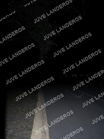 Foto de la Carrera Nocturna de Zombies Parque Metropolitano 2026 a las 20:20