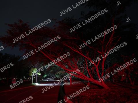 Foto de la Carrera Nocturna de Zombies Parque Metropolitano 2026 a las 20:02