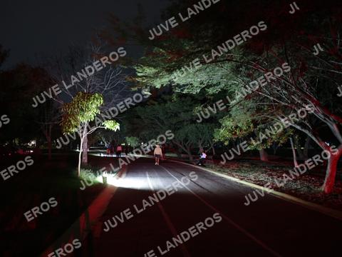 Foto de la Carrera Nocturna de Zombies Parque Metropolitano 2026 a las 19:44
