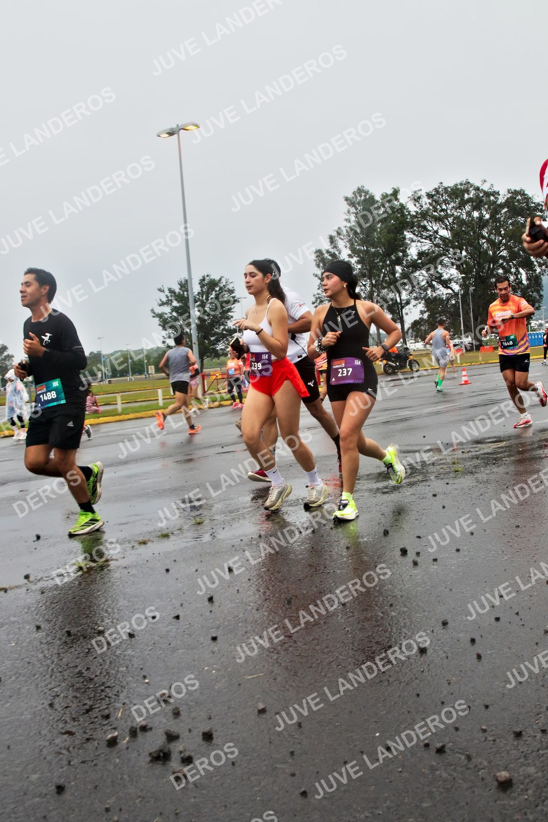 Foto de la CARRERA OMNILIFE GUADALAJARA en Estadio Akron, Zapopan a las 07:32 · dorsal 239, 237, 1488, 1648